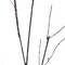 Uniquewise Vase Filled with Branches: 37-in. Red Bamboo Tall Floor Vase and 37-in. Twig Branch QI003243.AT - alternate 5